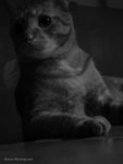 DSC06886