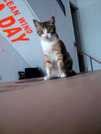 DSC09880