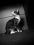 DSC09884-2
