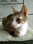 DSC09904