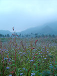 DSC00068