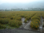 DSC00075