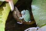 IMG_1332