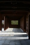 IMG_1379