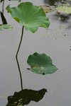 IMG_1276