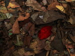 IMG_2752_2_resize