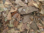 IMG_2752_resize