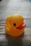 IMG_0041_resize