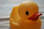 IMG_0044_resize