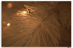IMG_3283_resize