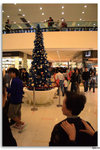 IMG_3290_resize