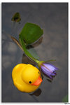 IMG_6096_resize