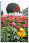 IMG_6105_resize