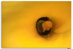 IMG_6067_resize