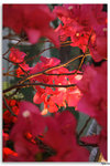 IMG_6084_resize