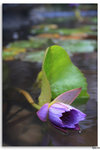 IMG_6097_resize
