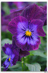 IMG_6165_resize