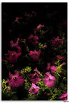 IMG_6211_resize