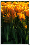 IMG_6228_resize