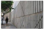 IMG_2013_resize
