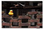 IMG_1859_resize