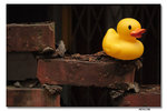 IMG_1864_resize