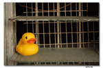 IMG_1869_resize