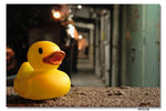 IMG_1942_resize
