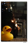 IMG_1943_resize