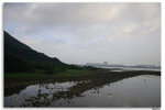 IMG_2923_resize
