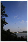 IMG_2965_resize