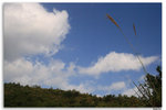 IMG_3005_resize