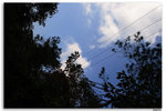 IMG_3006_resize