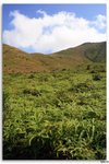 IMG_3079_resize