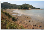IMG_3092_resize