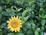 IMG_6034_resize
