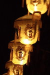 IMG_0504_resize
