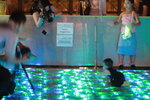IMG_0326_resize