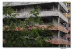 IMG_1728_resize