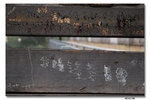 IMG_1729_resize