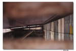 IMG_1760_resize