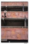 IMG_1791_resize