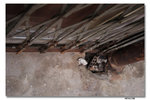 IMG_1801_resize