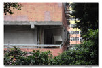 IMG_1807_resize