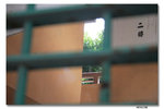 IMG_1811_resize