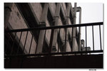 IMG_1844_resize