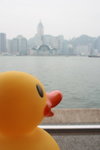 IMG_0055_resize