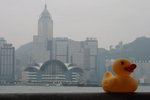 IMG_0060_resize