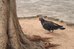 IMG_0065_resize