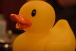 IMG_0166_resize